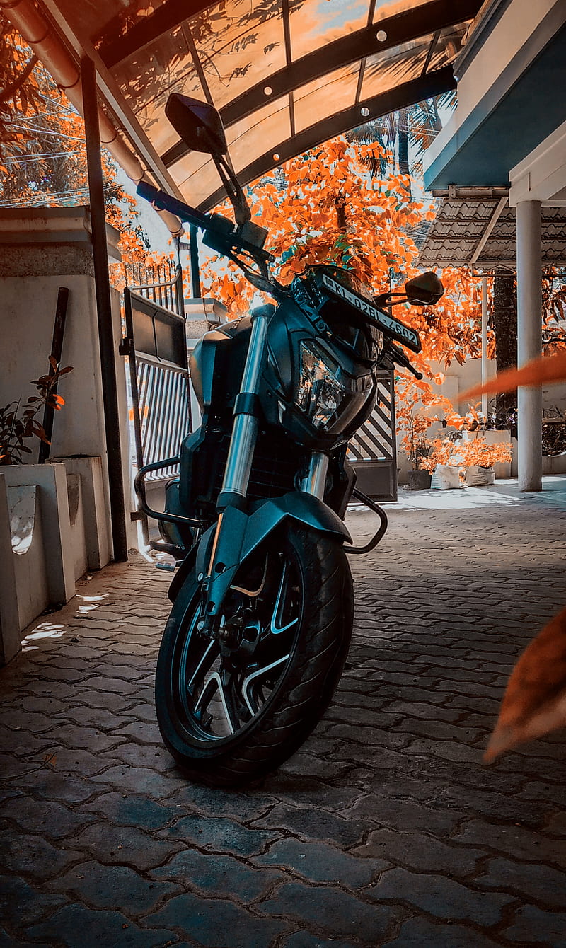 800x1340 HD dominar wallpaper