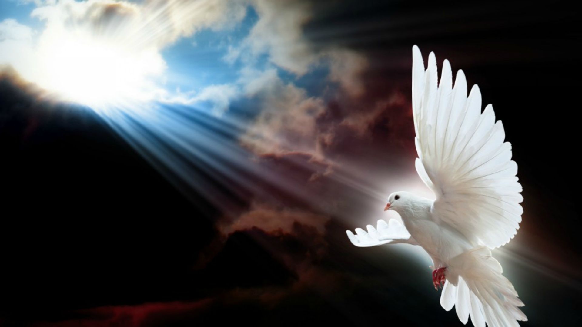 1920x1080 God's Messenger HD Desktop Background