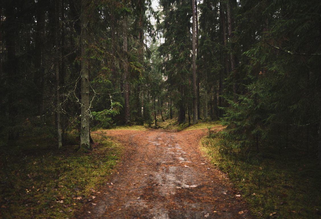 1128x768 Off Grid Living: Navigating The Path To Self Sufficiency