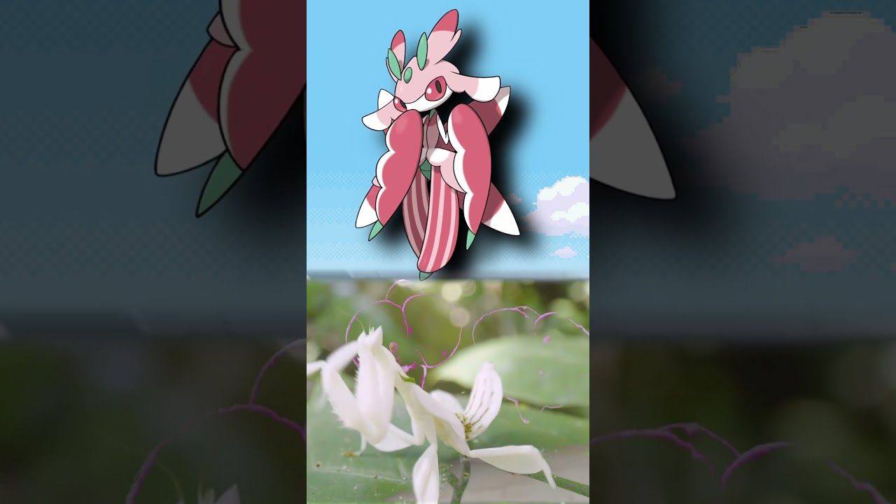 1280x720 WTF is Lurantis?. EVERY Pokémon Design Explained #pokemon #pokemontcg #shorts