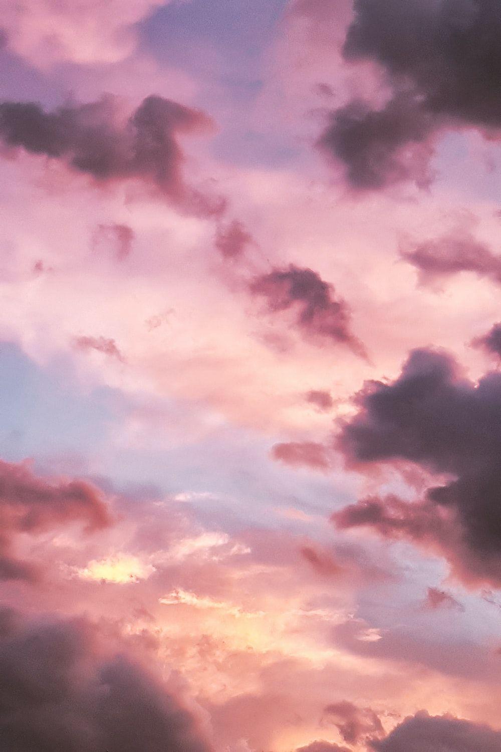 1000x1500 Pink Wallpaper: Free HD Download [HQ]