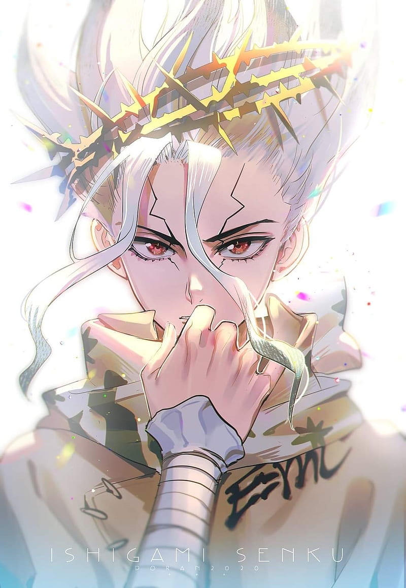 800x1157 Dr Stone, anime, senku, HD phone wallpaper