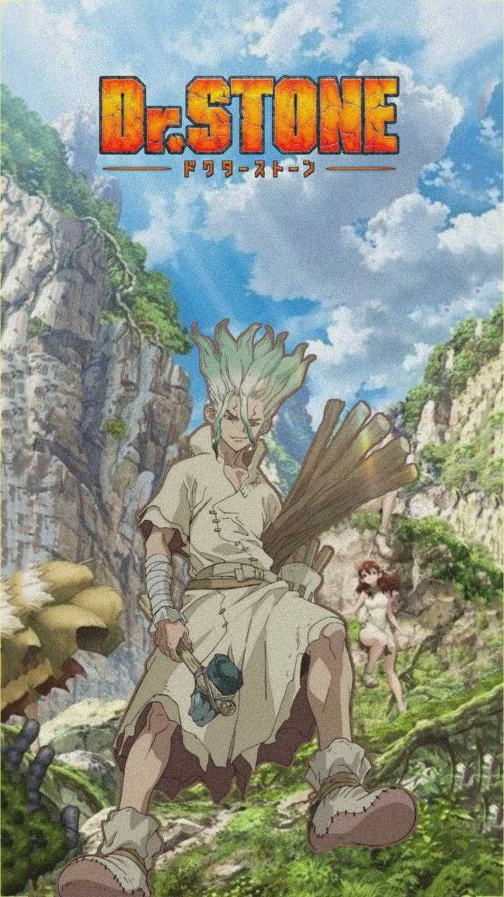 720x1280 Dr Stone Wallpaper iPhone Free HD Wallpaper. Dr stone minimalist poster, Dr stone cover, Dr stone manga