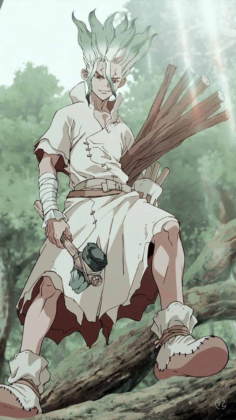 800x1422 Senku, Dr. Stone, Art, Anime, HD phone wallpaper