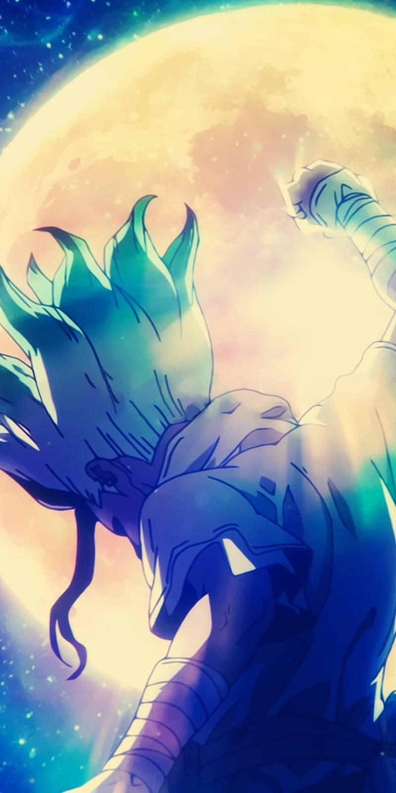 800x1600 Dr stone, senku, anime, HD phone wallpaper