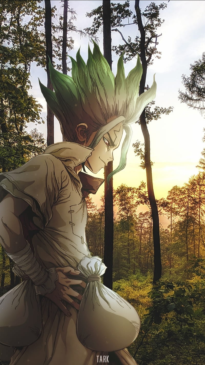 800x1425 Senku, chemistry, dr stone, forest, senku, HD phone wallpaper