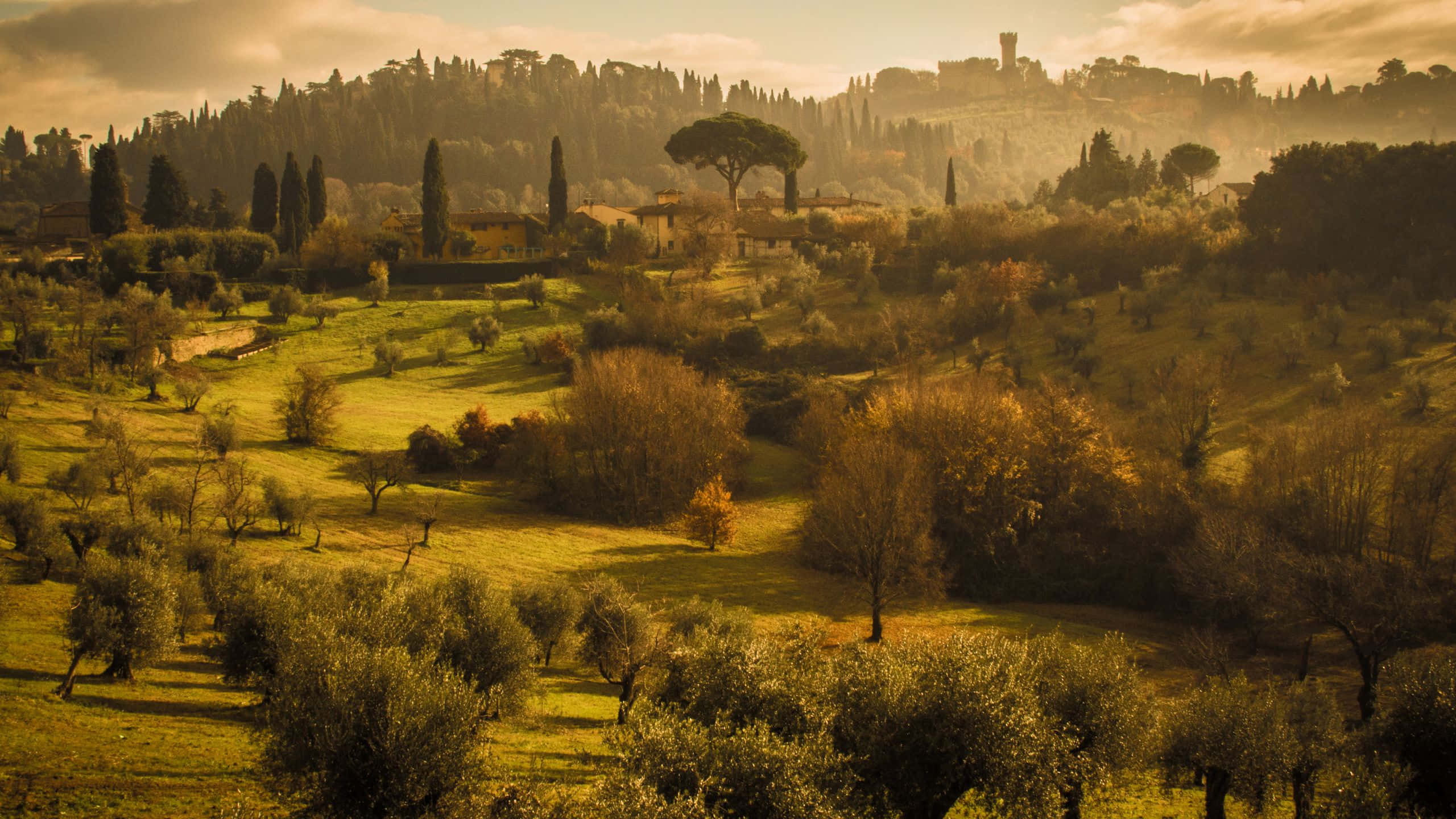 2560x1440 Download Art and architecture of the Renaissance period Background