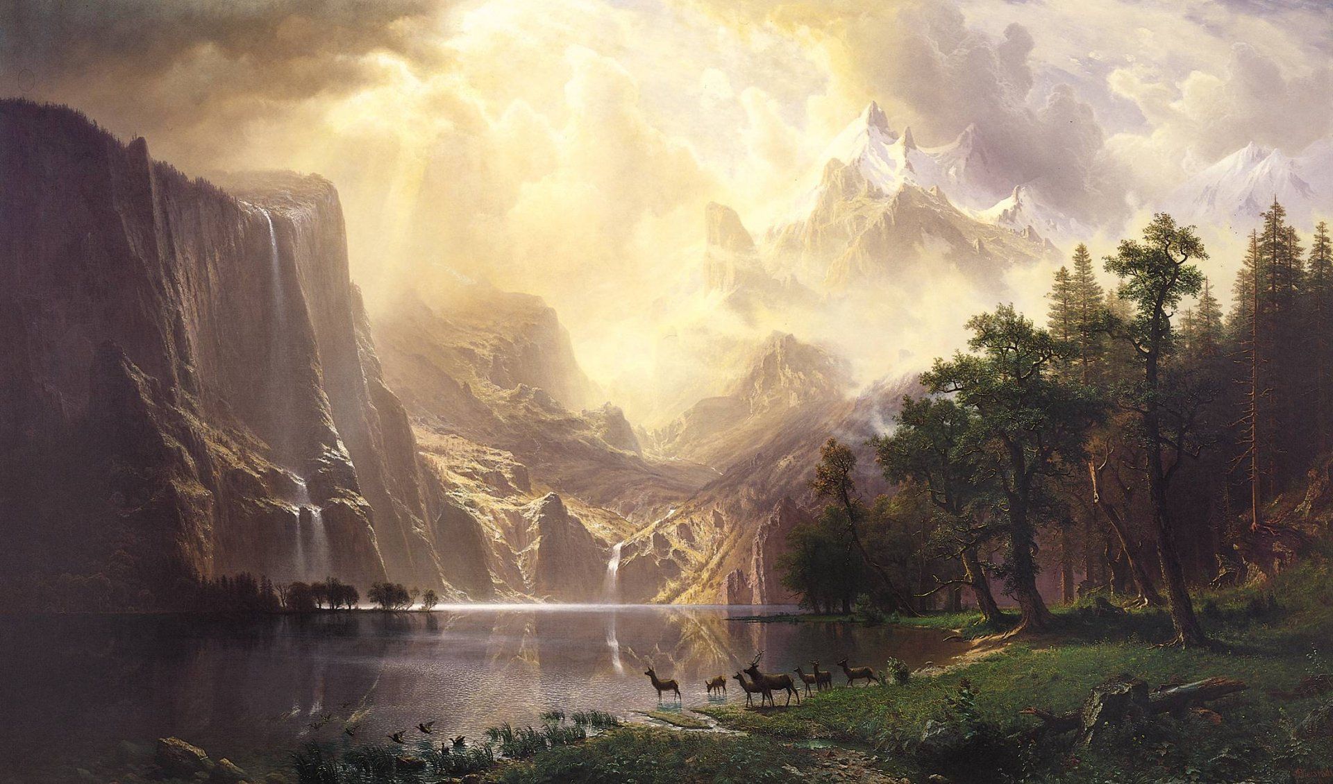 1920x1130 Serene Wilderness HD Wallpaper