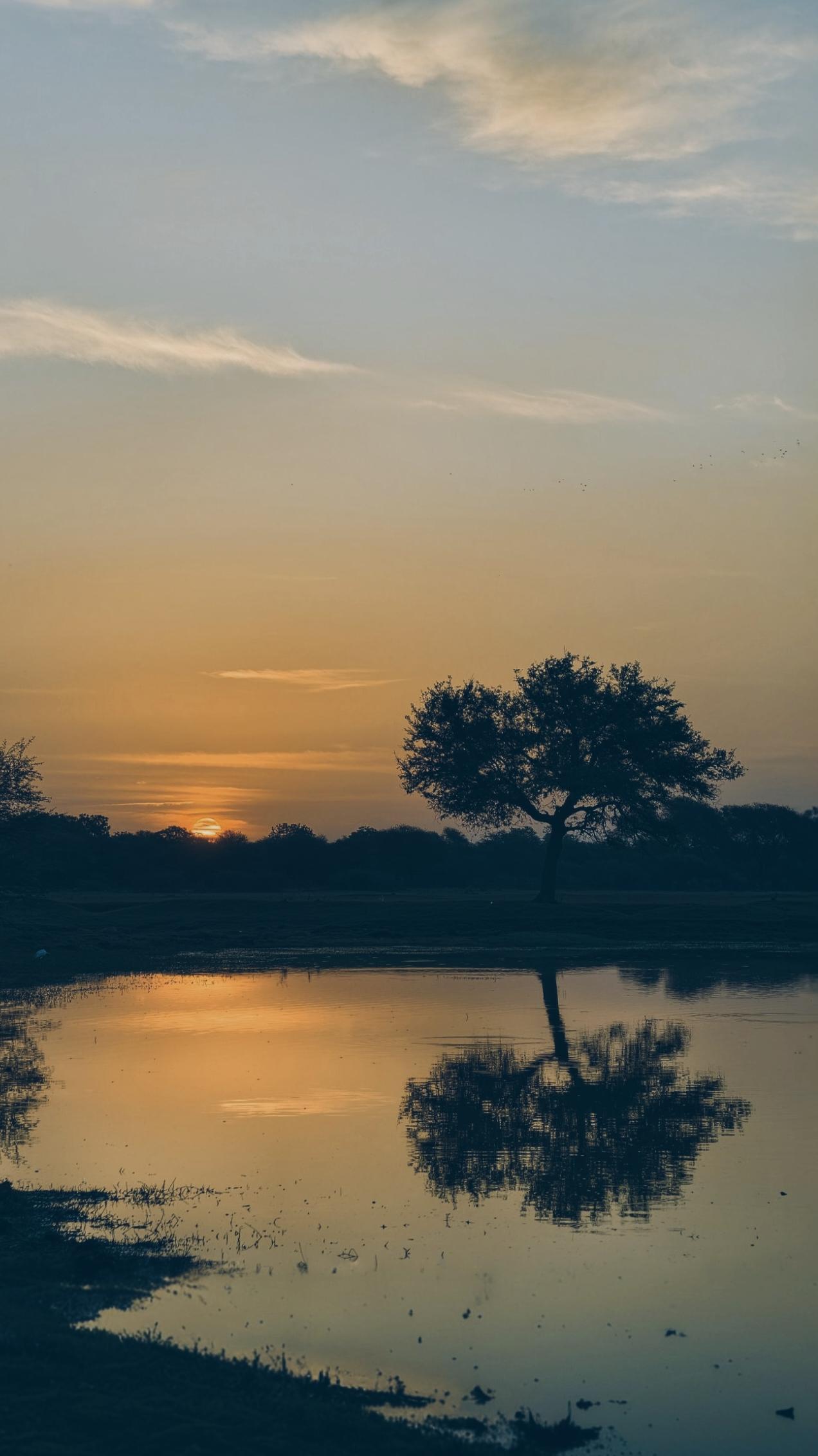 1272x2264 Wallpaper collection shot from vivo x300 Pro
