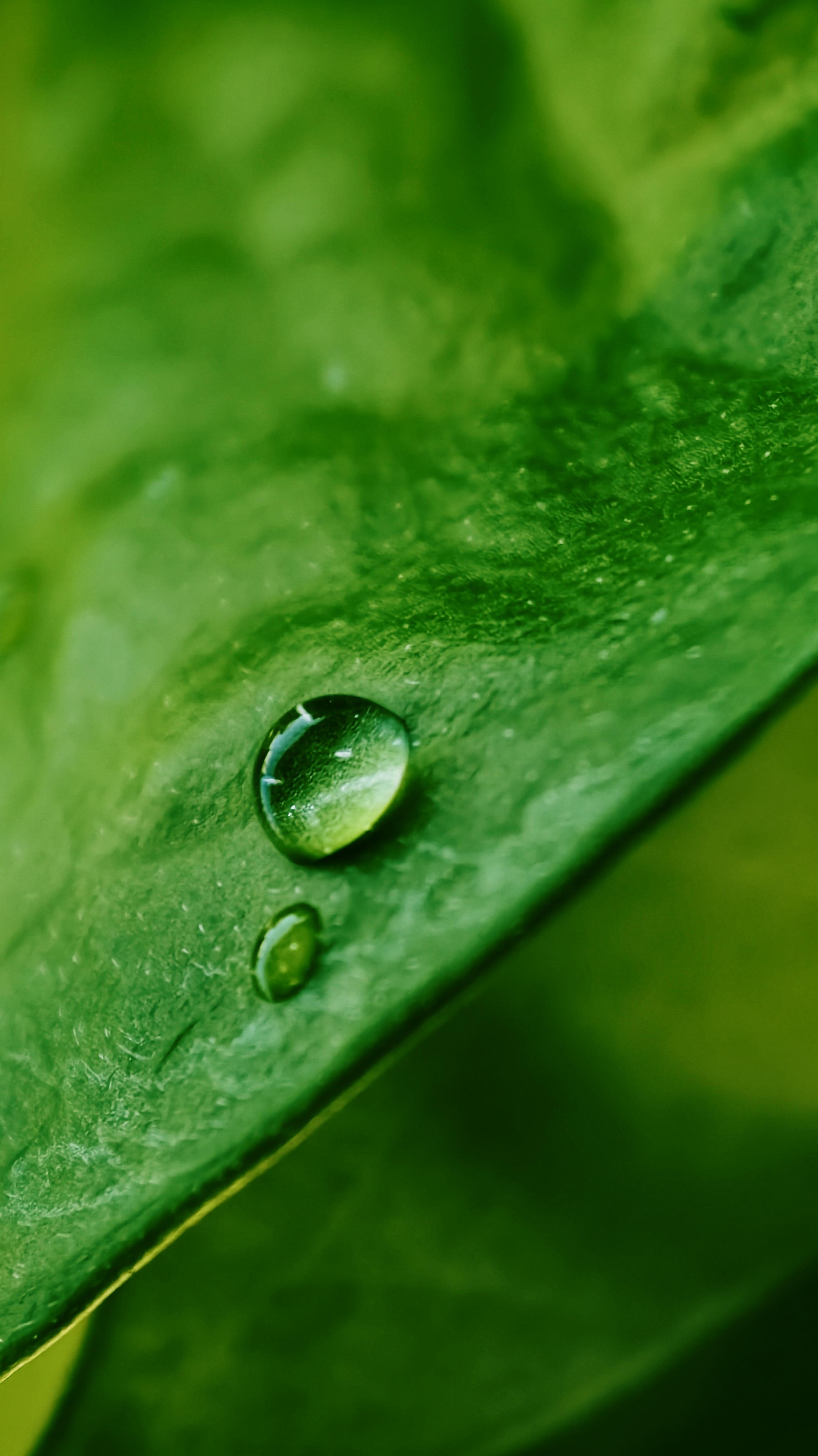 2292x4080 Wallpaper collection shot from vivo x300 Pro