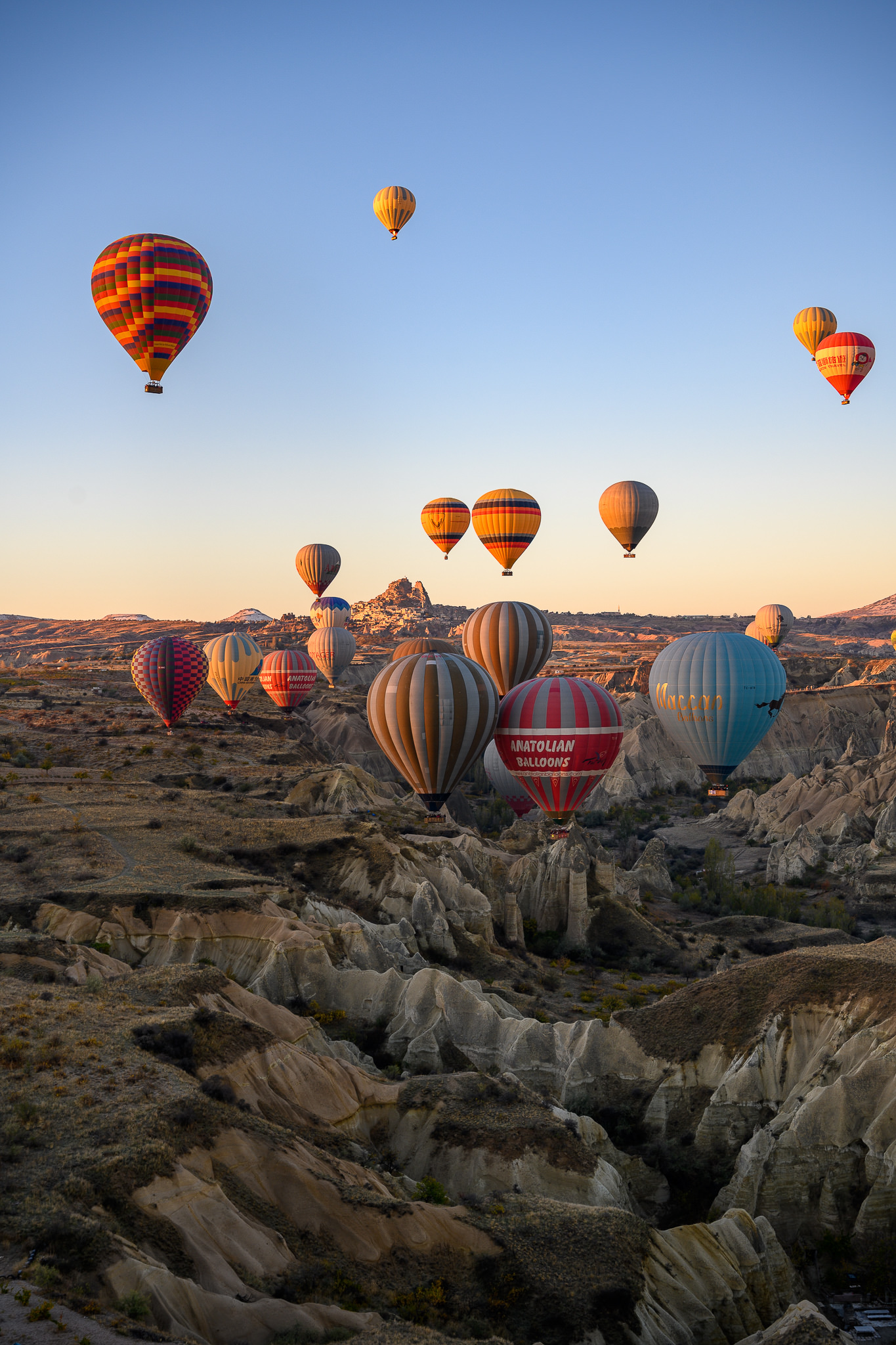 1365x2048 Nikon Z7 Review Image Samples
