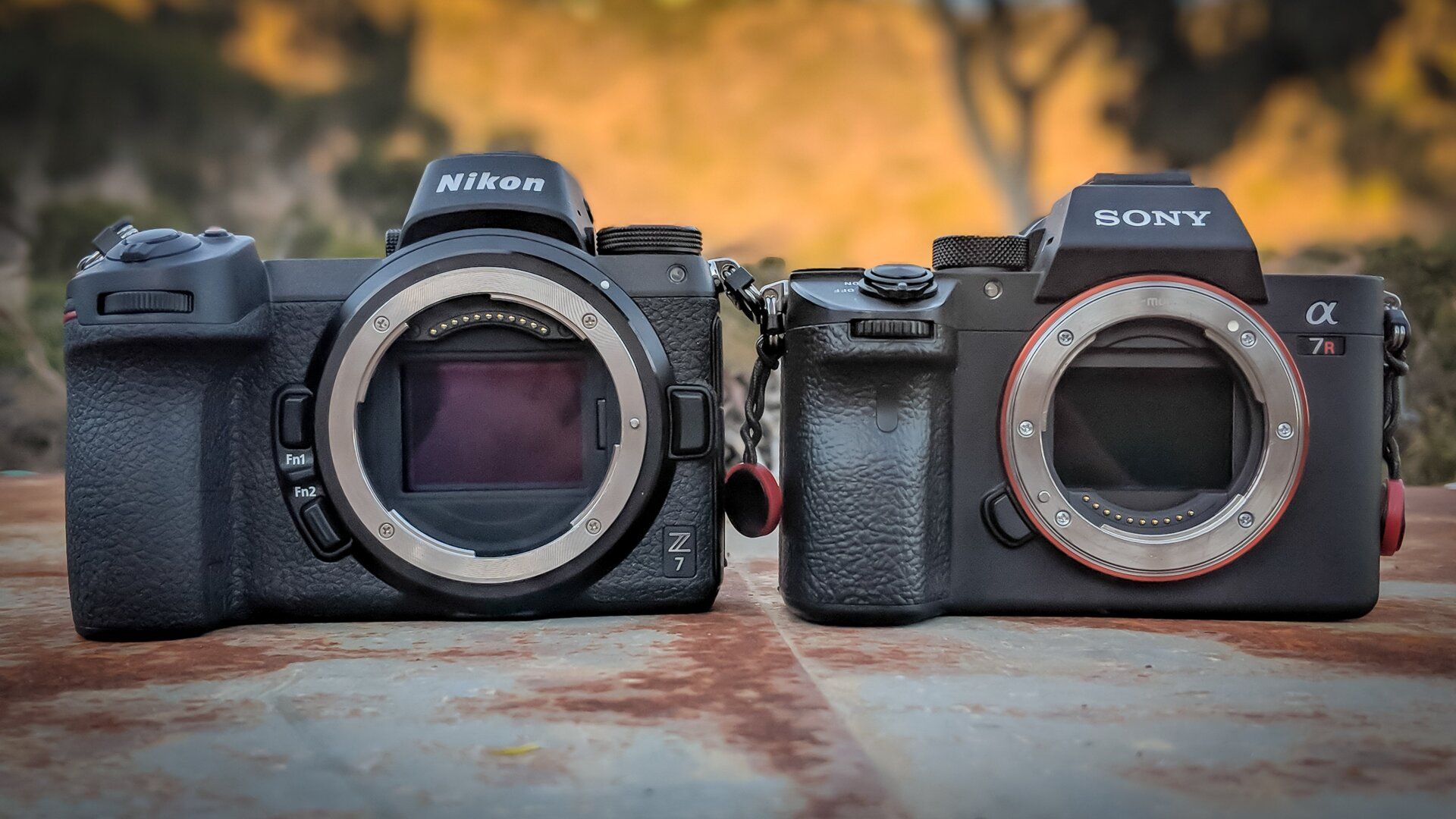 1920x1080 Nikon Z7 Review: A Worthy Mirrorless Contender, But Not a Sony Killer