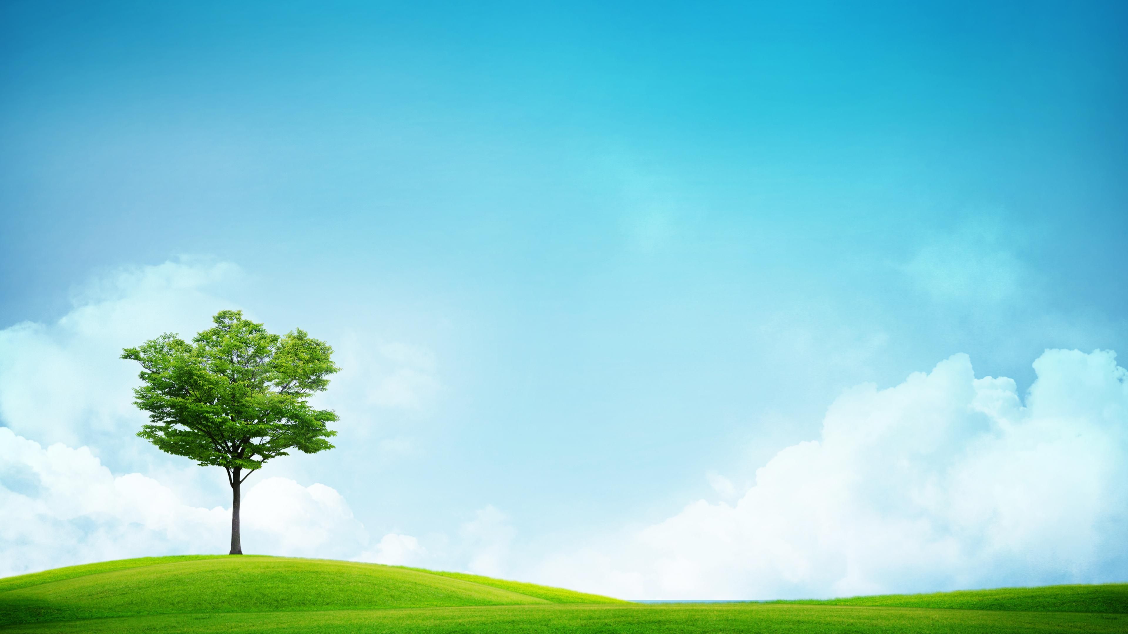 3840x2160 Grass and Sky Wallpaper