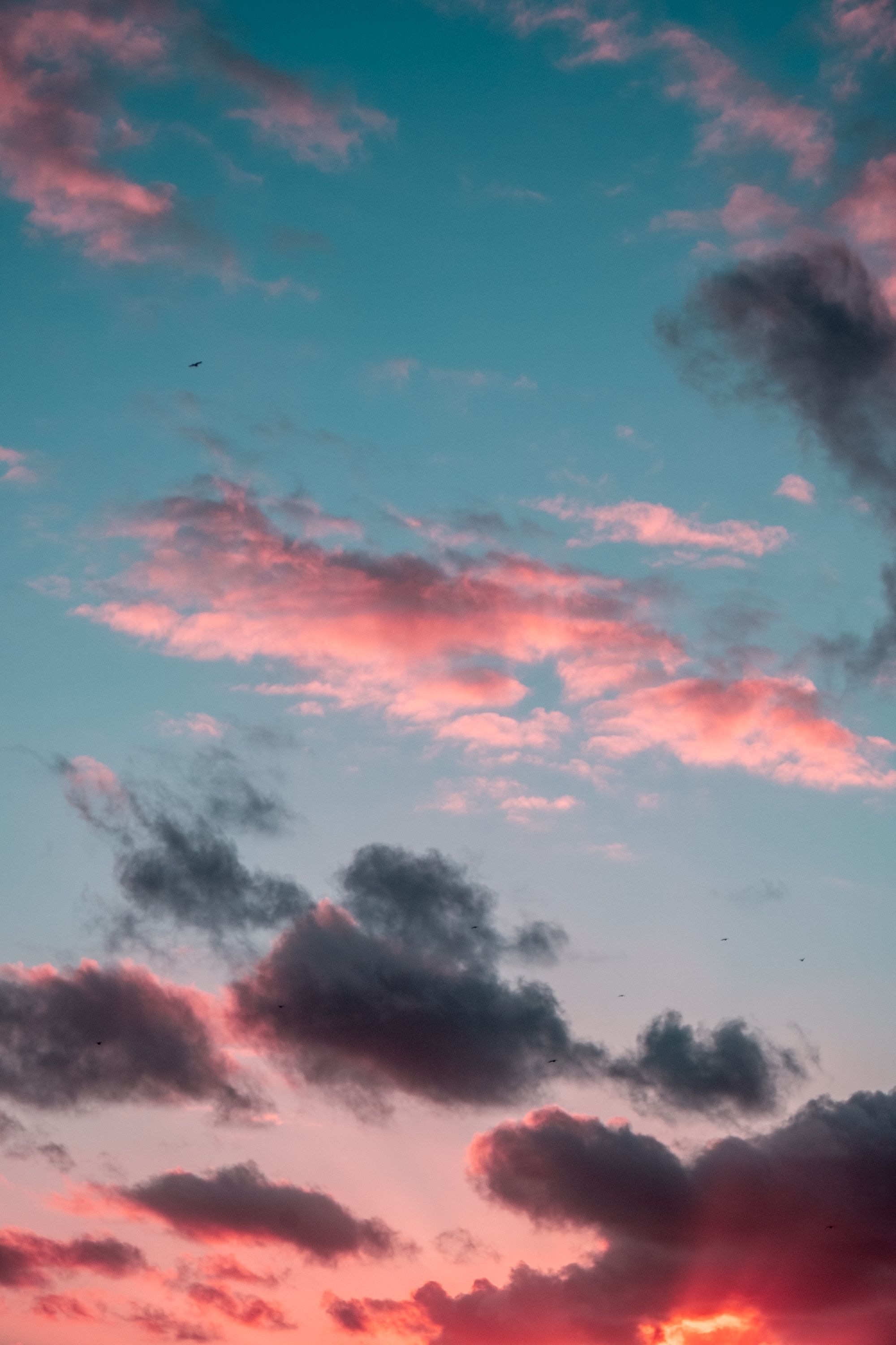 2000x3000 8k Wallpaper Sky Photo, Download The BEST Free 8k Wallpaper Sky & HD Image
