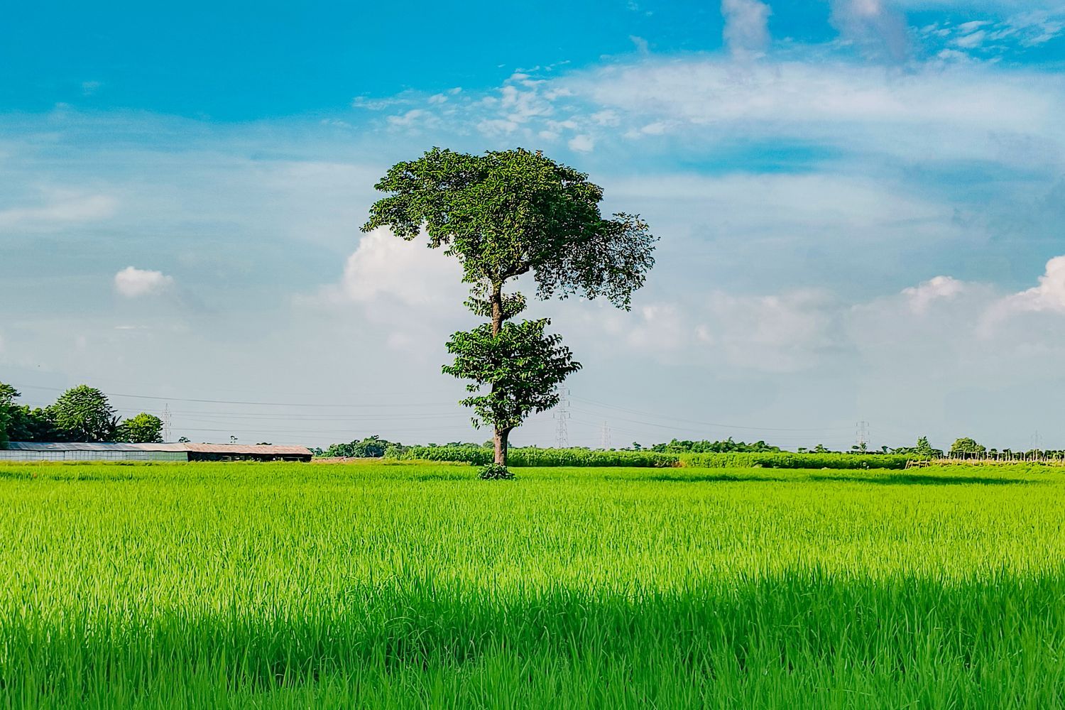1500x1000 16k Nature Wallpaper Photo, Download The BEST Free 16k Nature Wallpaper & HD Image