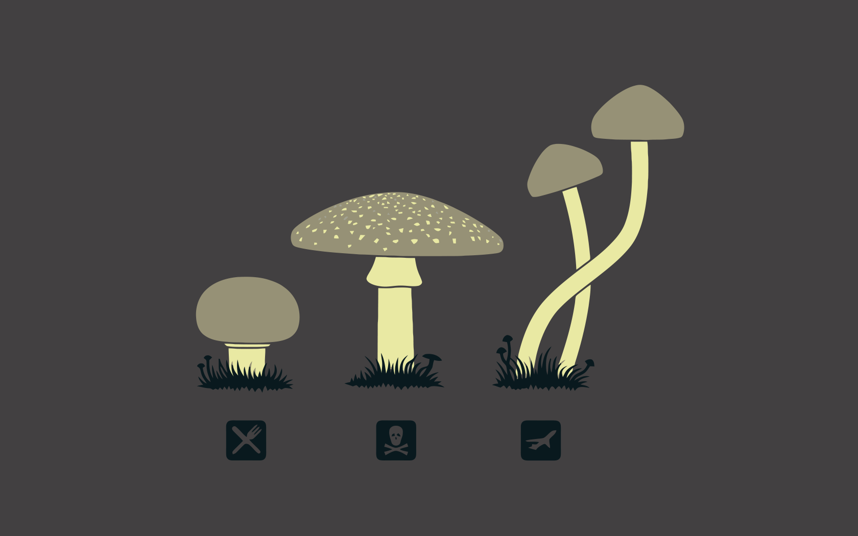 1680x1050 Mushroom Minimalism Chromebook Pixel , HD 4k Wallpaper, Image, Background, Photos and Picture