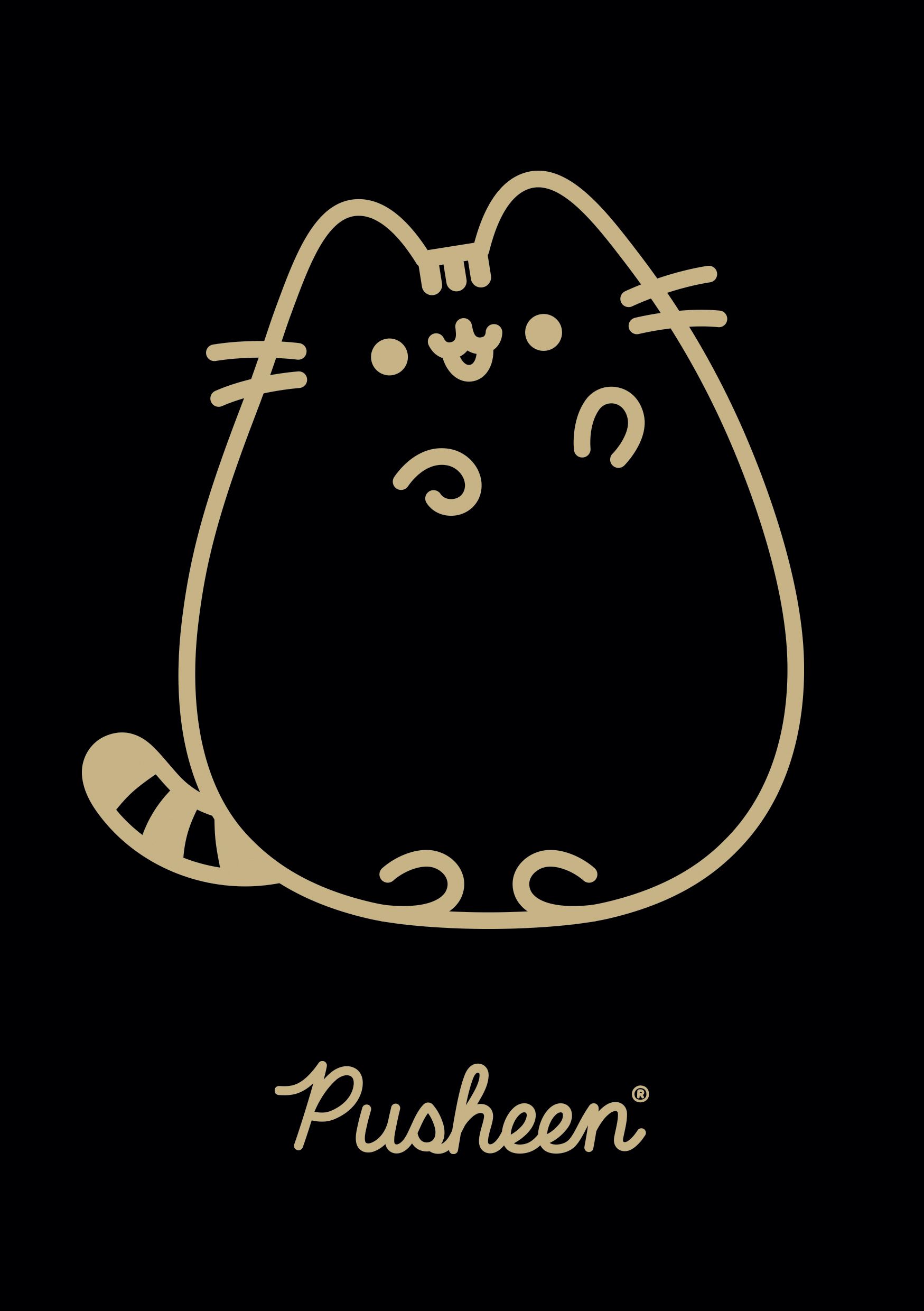 1749x2481 Zeszyt A4 Pusheen 60 Kartek cena na Allegro