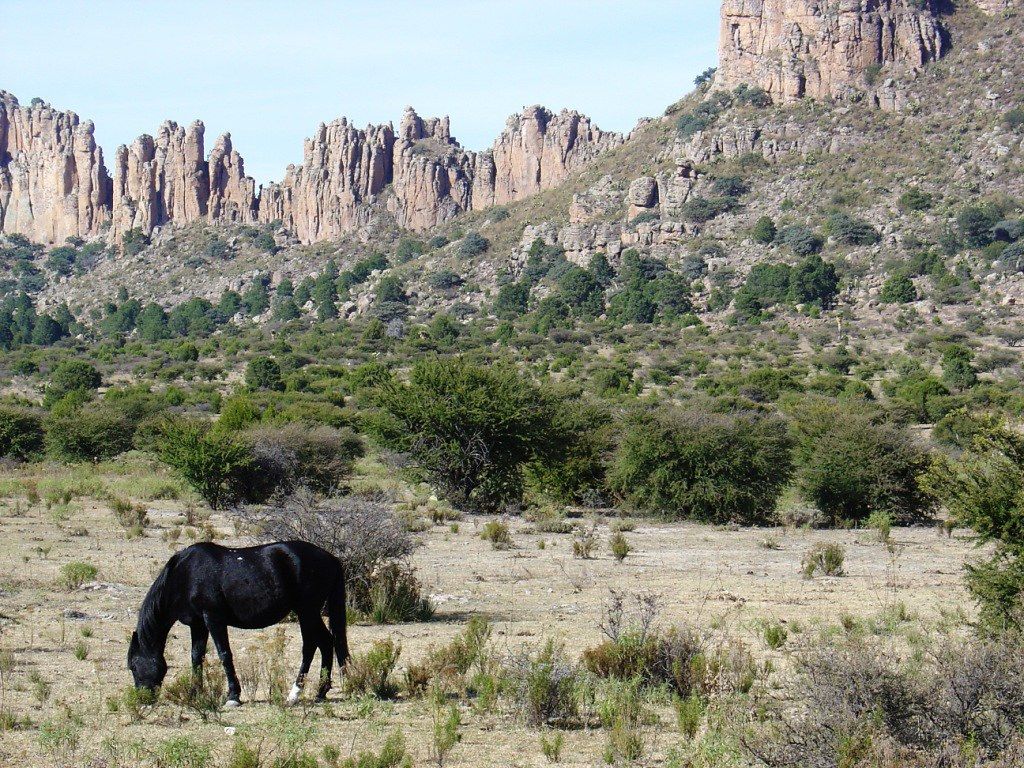 1024x768 Durango 027. The old west still lives in the state of Duran