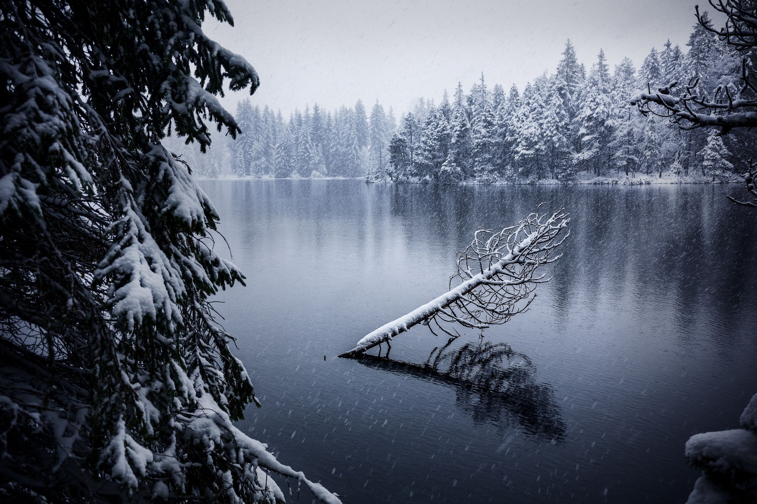 2560x1706 Switzerland, Winter, Water, Nature Wallpaper HD / Desktop and Mobile Background