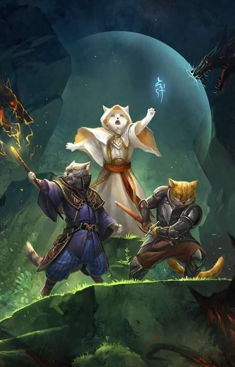 800x1248 Kitty Guild, barbarian, cat, cats, cleric, mage, oracle, rune, shield, warrior, HD phone wallpaper
