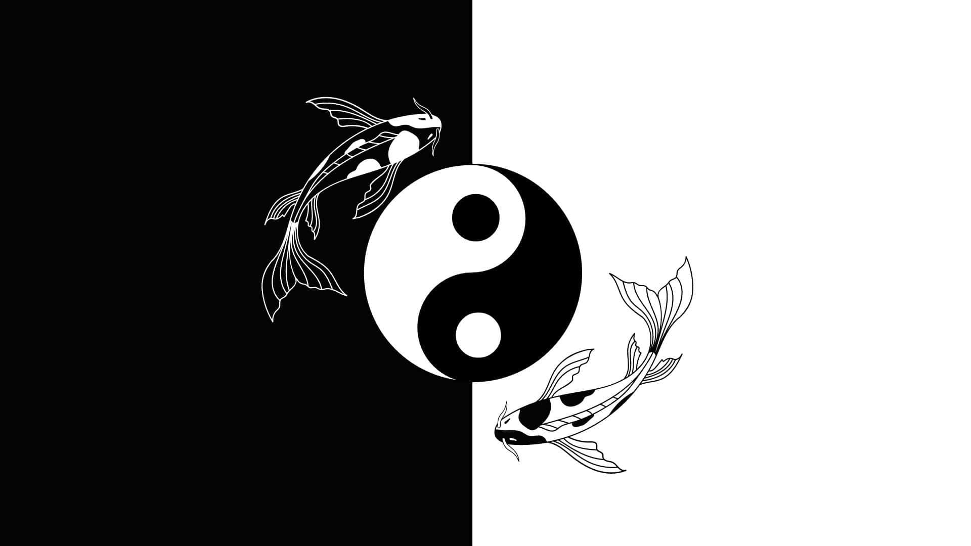 1920x1080 Yin Yang Fish Wallpaper