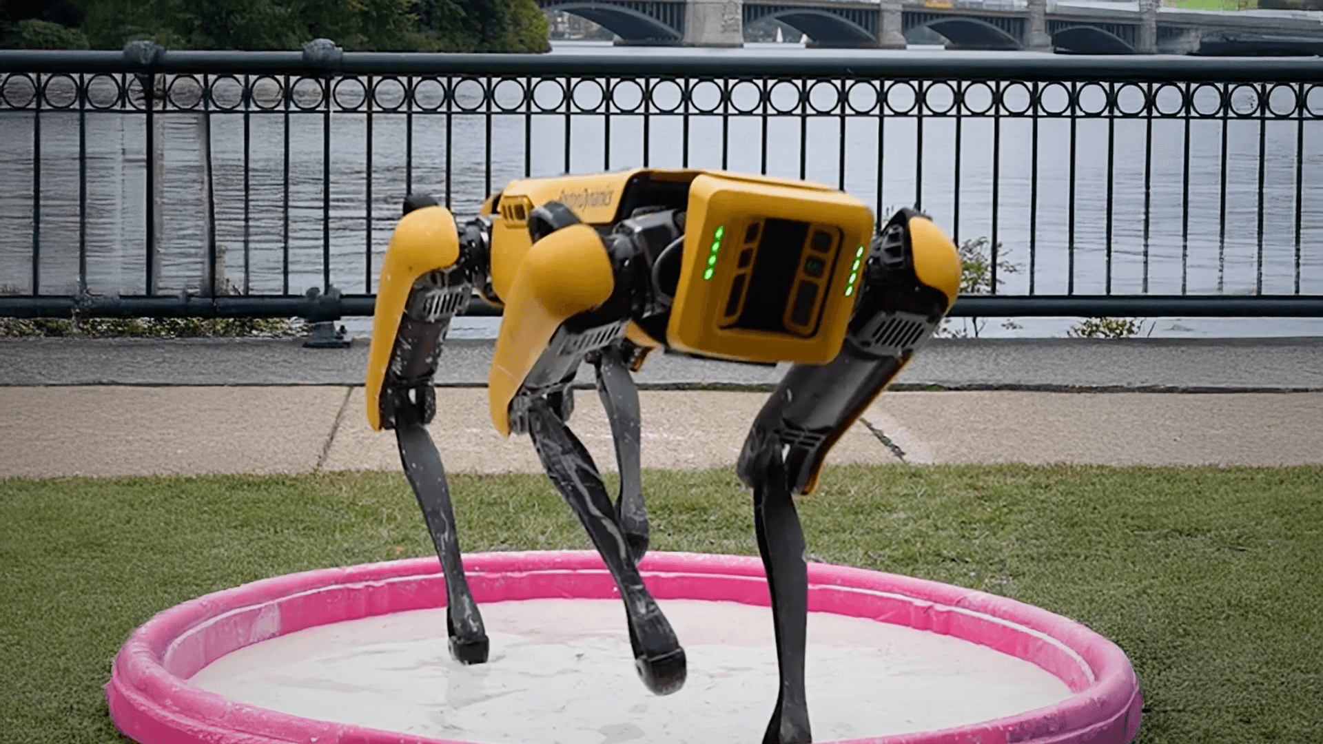 1920x1080 Boston Dynamics Robot Dog Walks On Oobleck. Museum of Science