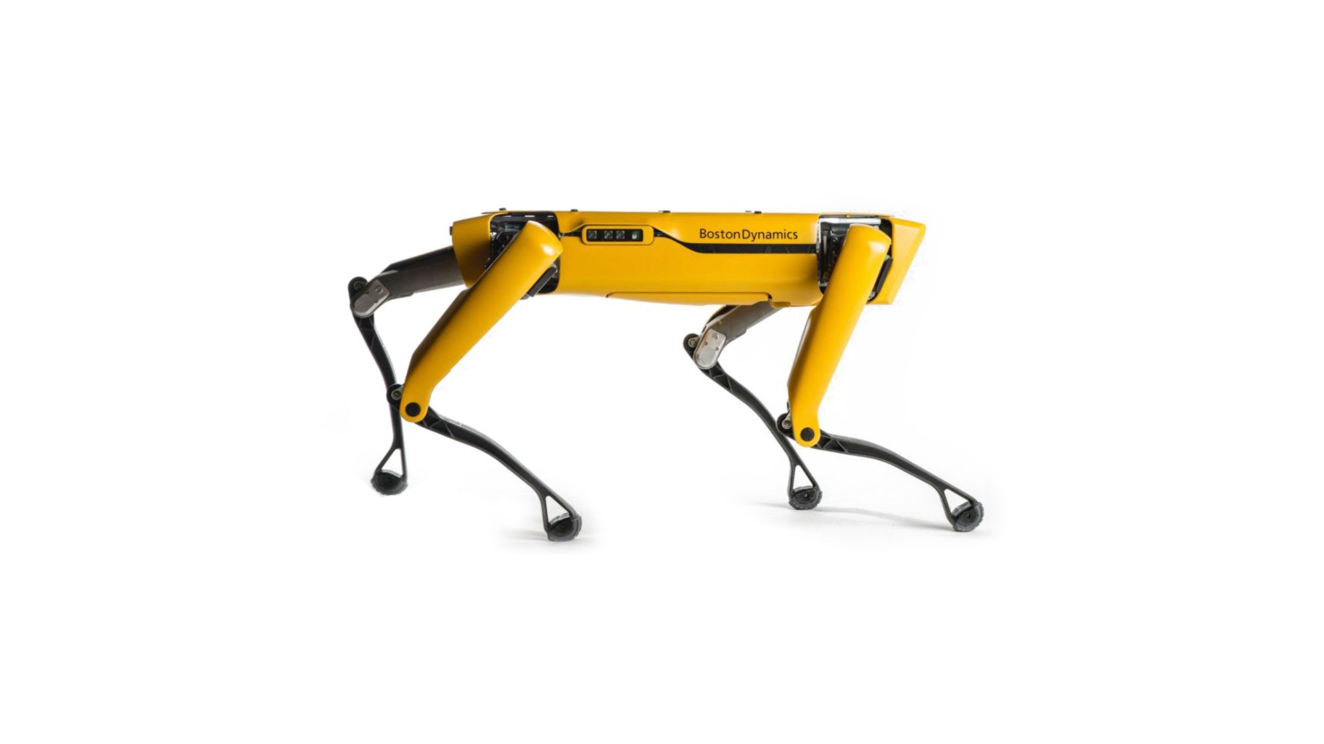 1920x1080 Spot: Boston Dynamics Is Selling A Yellow Four Legged Robot