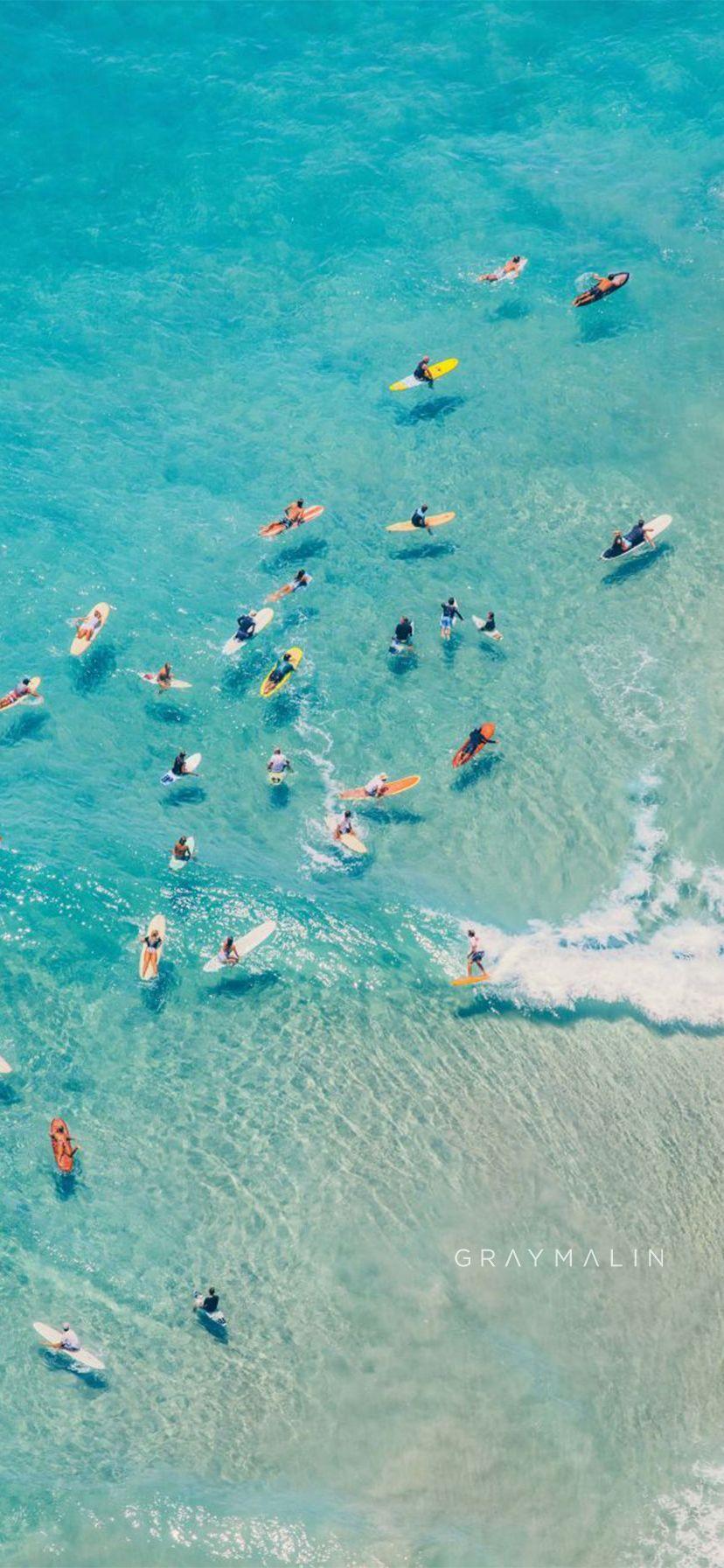 828x1792 Free Summer Phone Background from Gray Malin