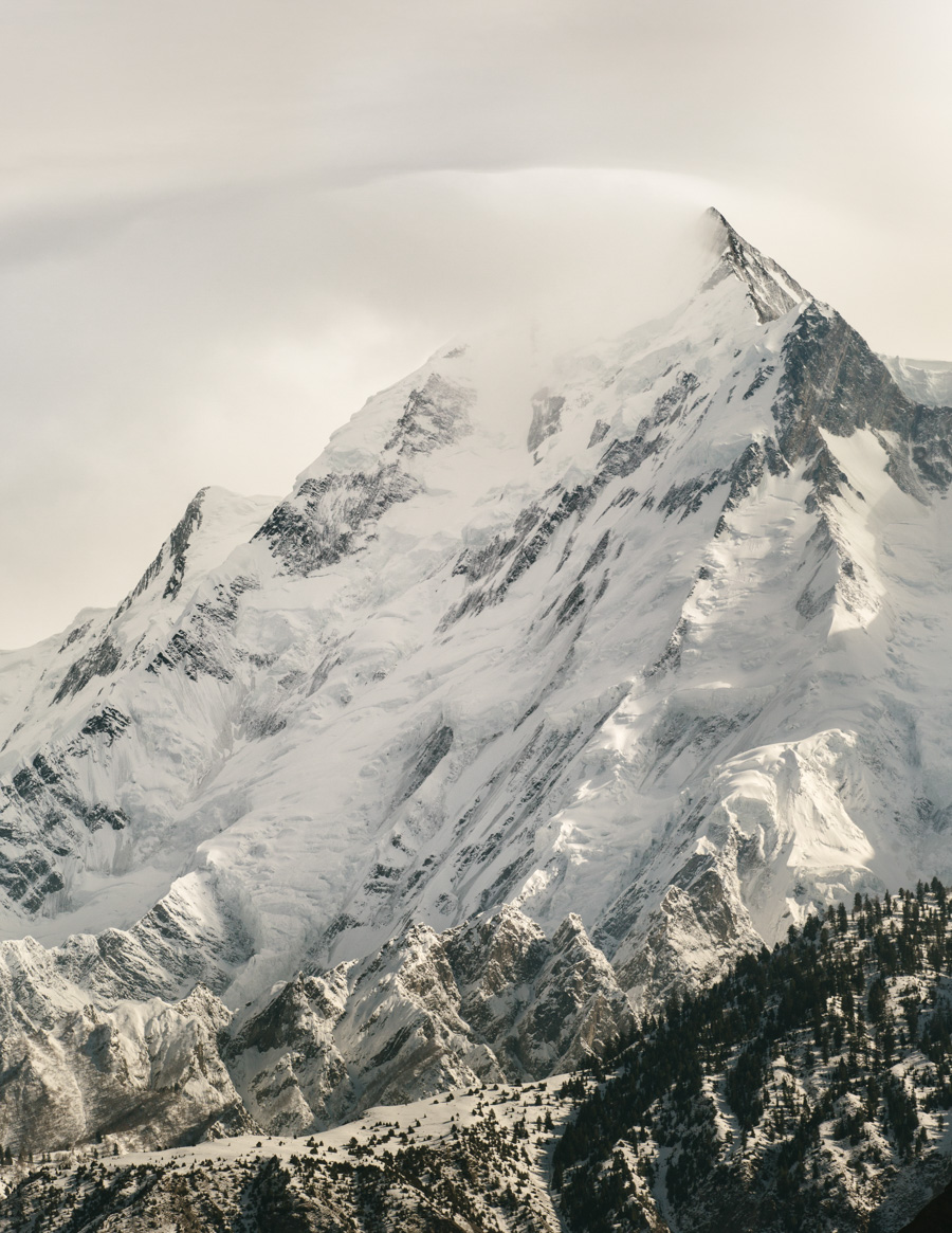 900x1165 Rakaposhi II Paley Prints