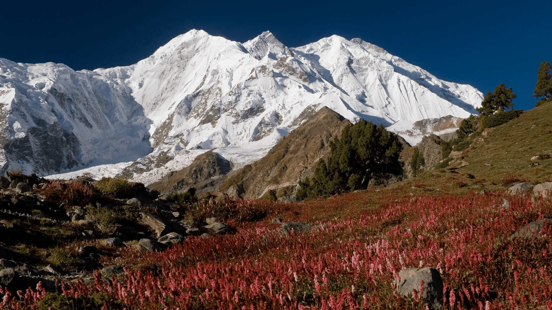 1920x1080 How to Hike Rakaposhi Base Camp Guide 2026
