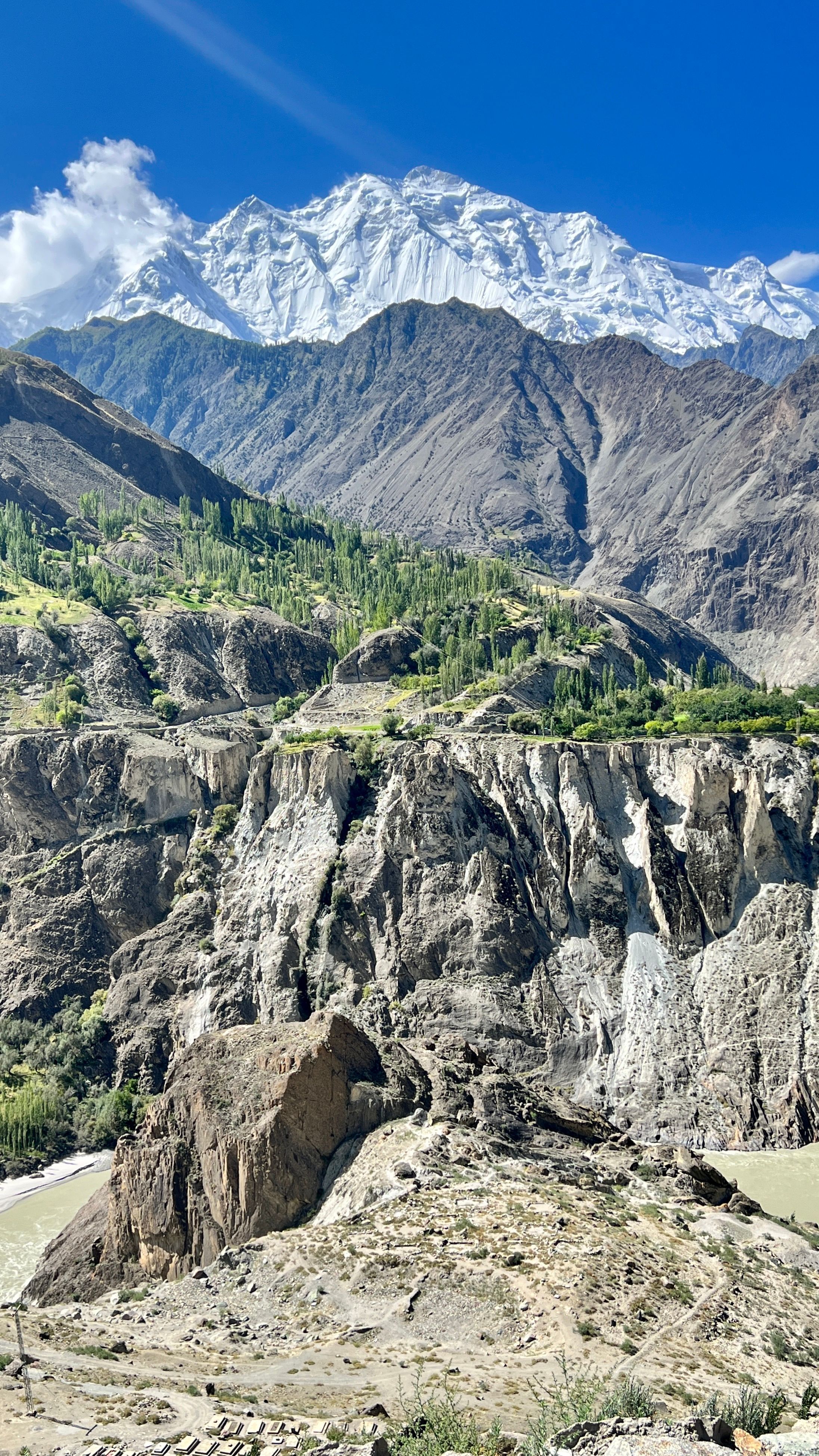 2193x3899 Majestic Rakaposhi Mountain in Summer Landscape · Free