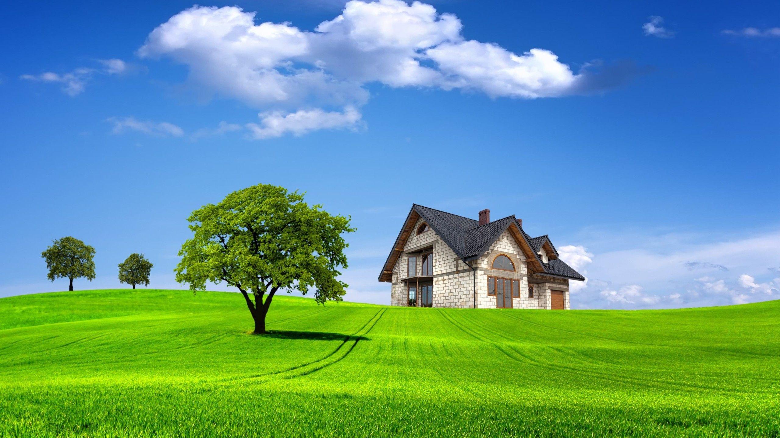 2560x1440 Nature Desktop Wallpaper Background