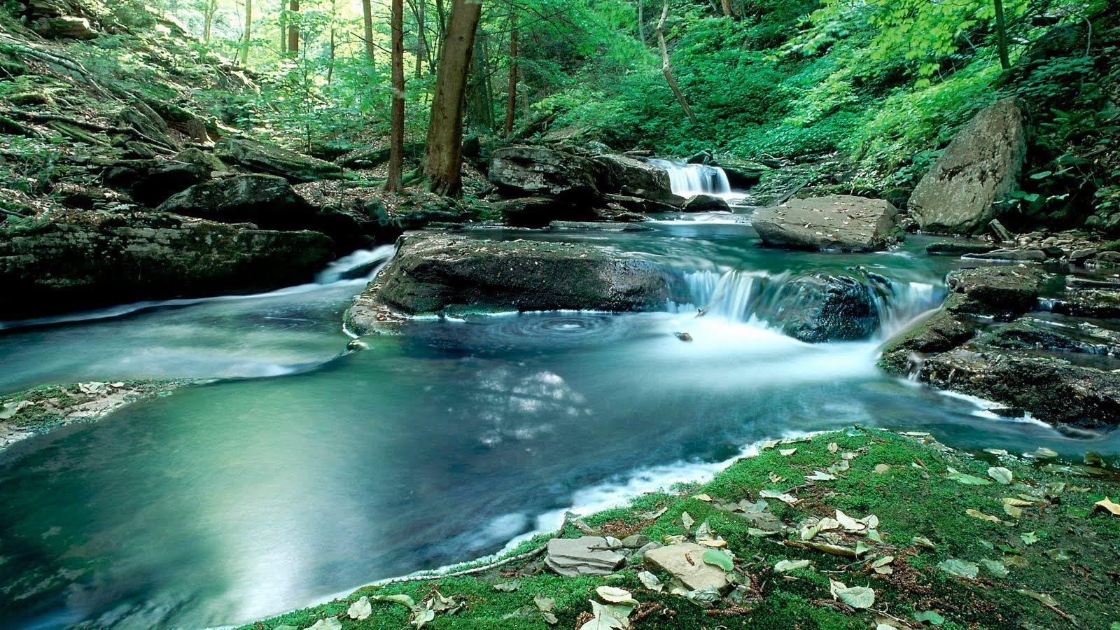 1600x900 Computer Background Nature