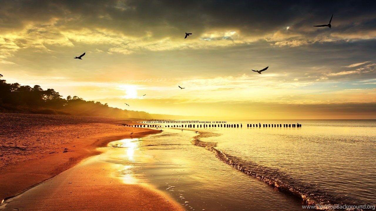 1280x720 COOL NATURE HD Desktop Wallpaper : Widescreen : High Definition. Desktop Background