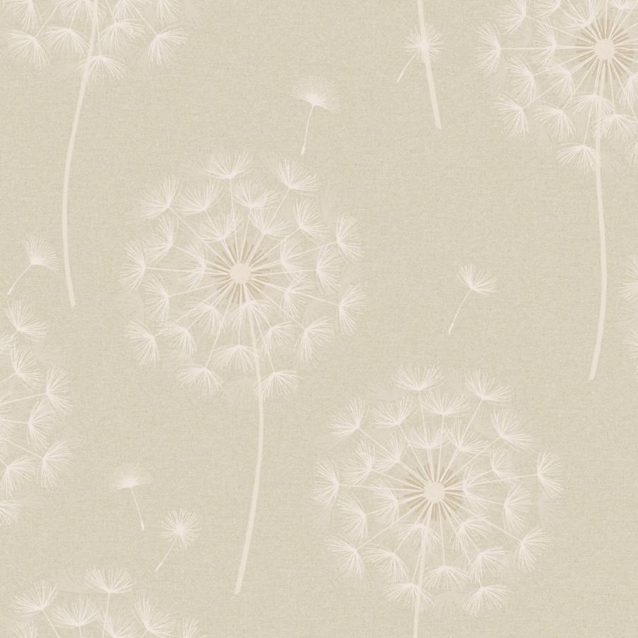 900x900 Opus Allora Cream Dandelion Flower Wallpaper