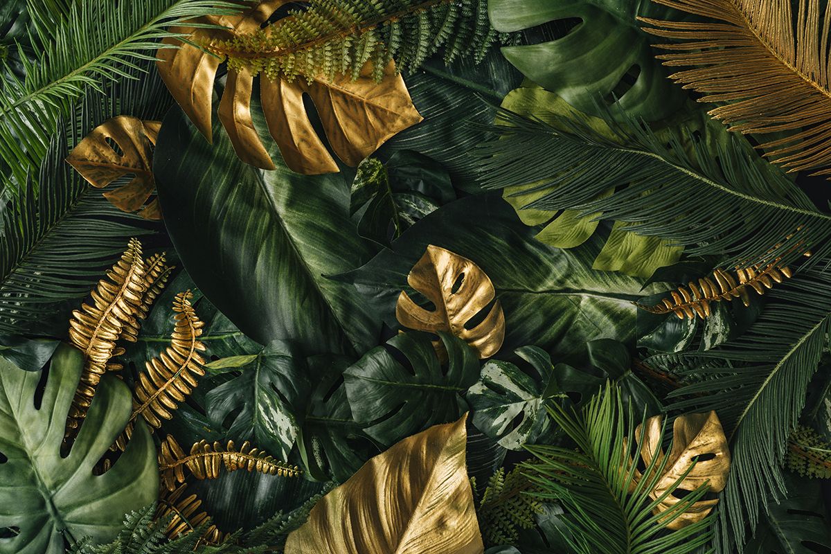 1200x800 A group of green and gold leaves®