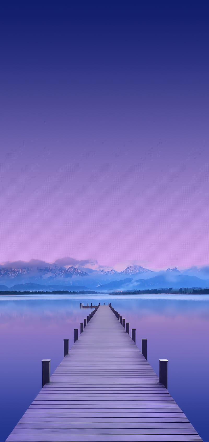 800x1689 HD v11 wallpaper