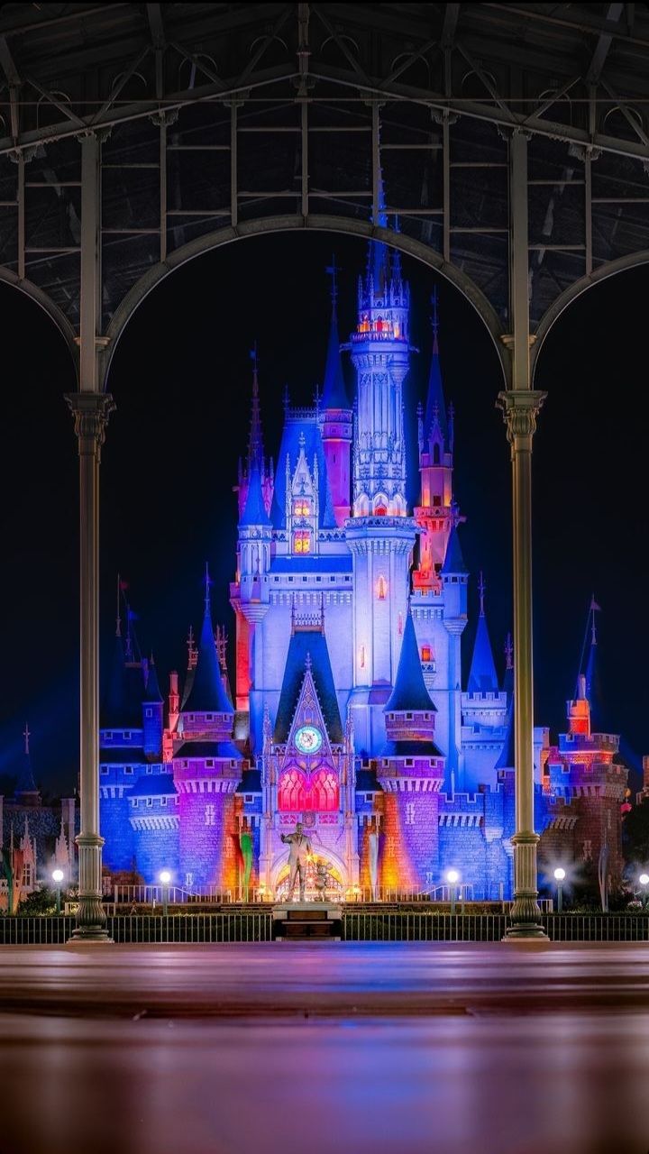 720x1280 Tokyo Disneyland at Night Wallpaper