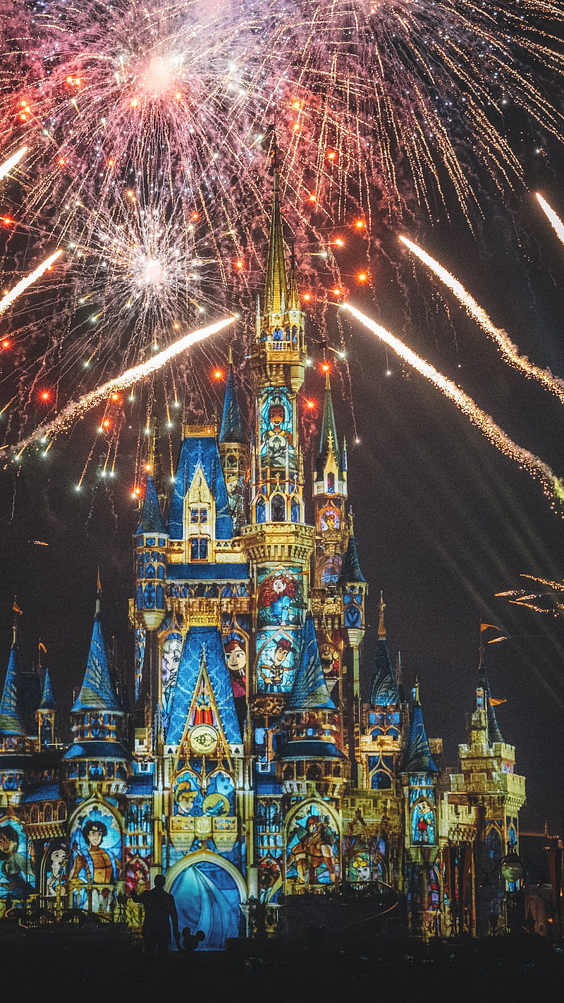 800x1422 HD disney nights wallpaper
