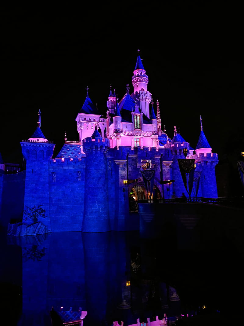 800x1067 Disney Castle, night, HD phone wallpaper