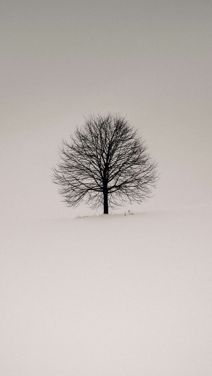736x1308 Minimalist Black and White Tree Wallpaper. Black and white winter scene, Inspirational nature photography, Minimalist winter photography