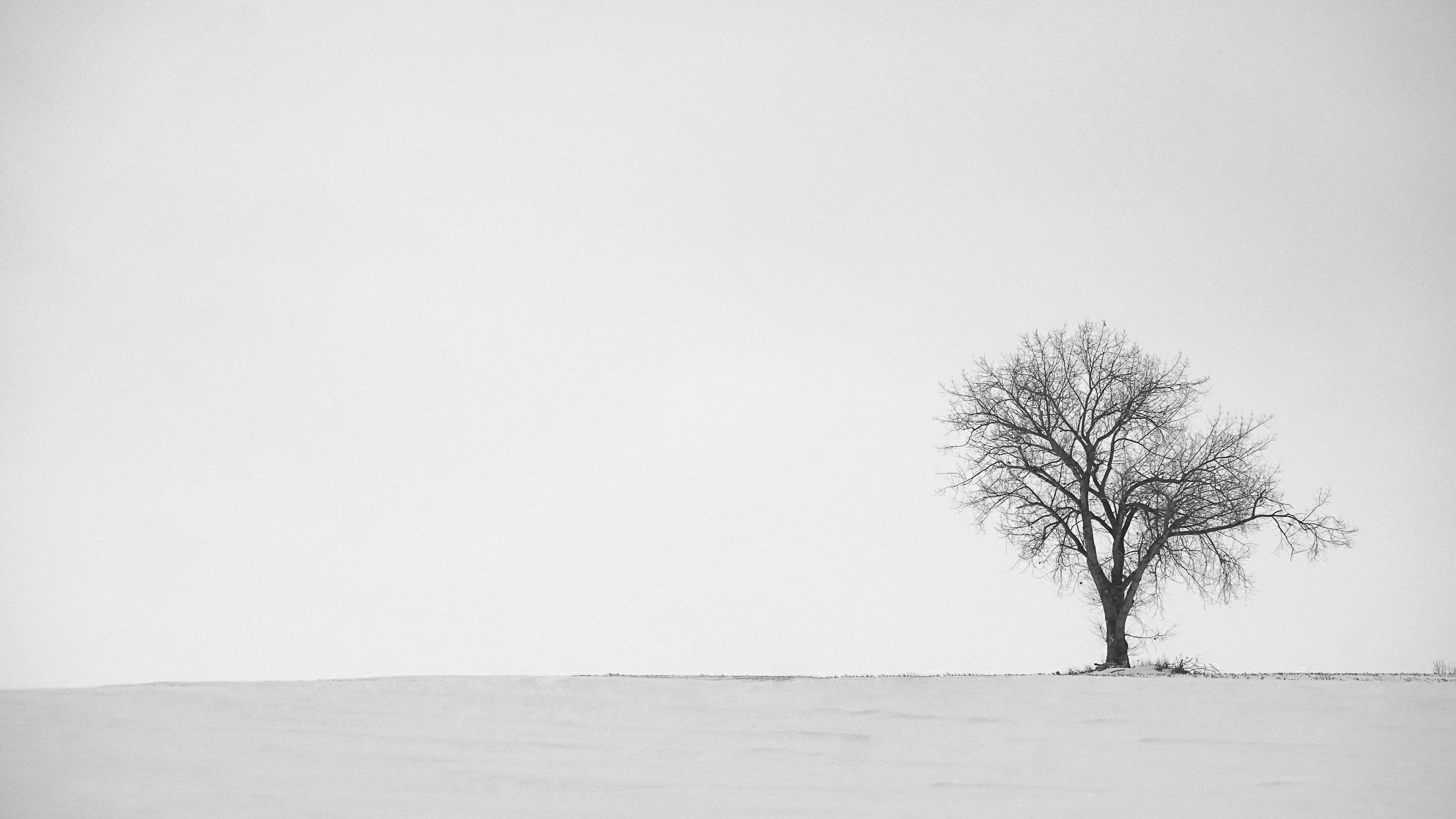 3000x1688 Monochrome Wallpaper Picture. Download Free Image