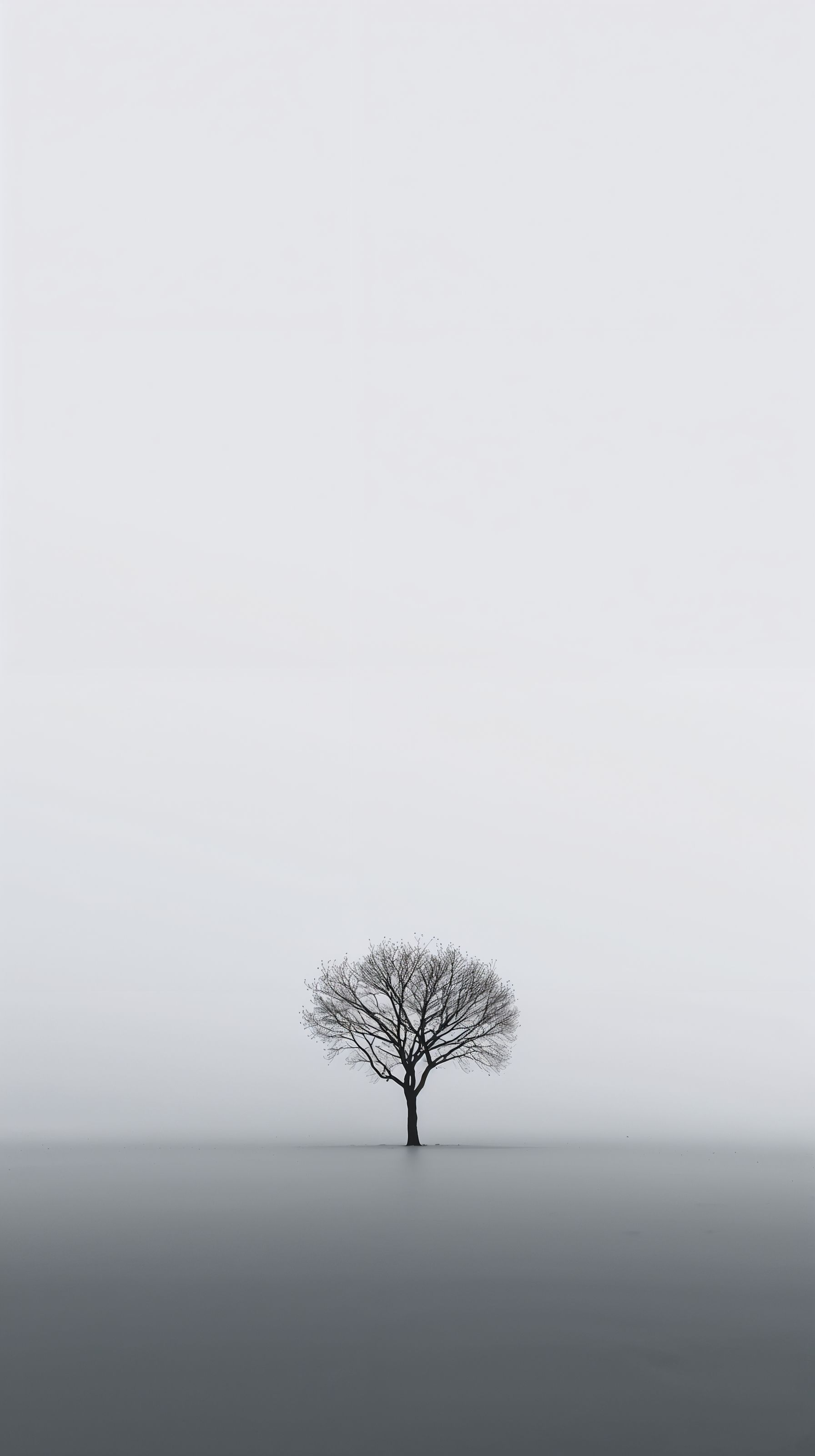 1792x3200 Free Minimalist Wallpaper