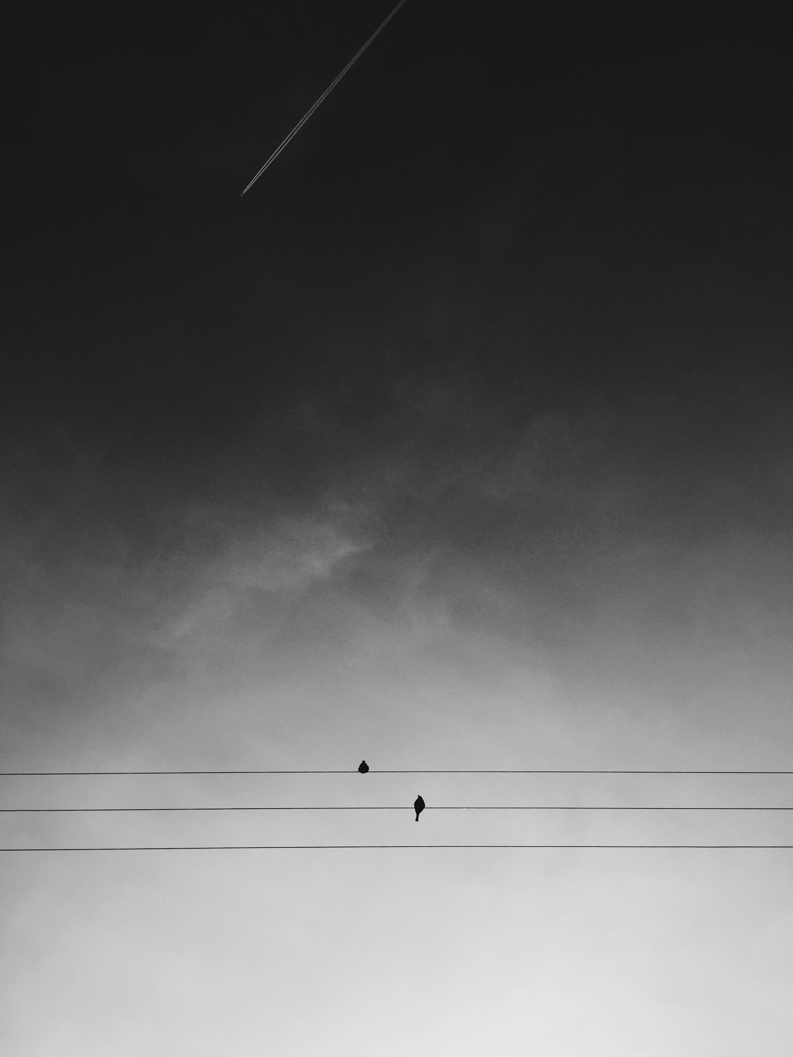 3000x4000 Minimal Black And White Picture. Download Free Image