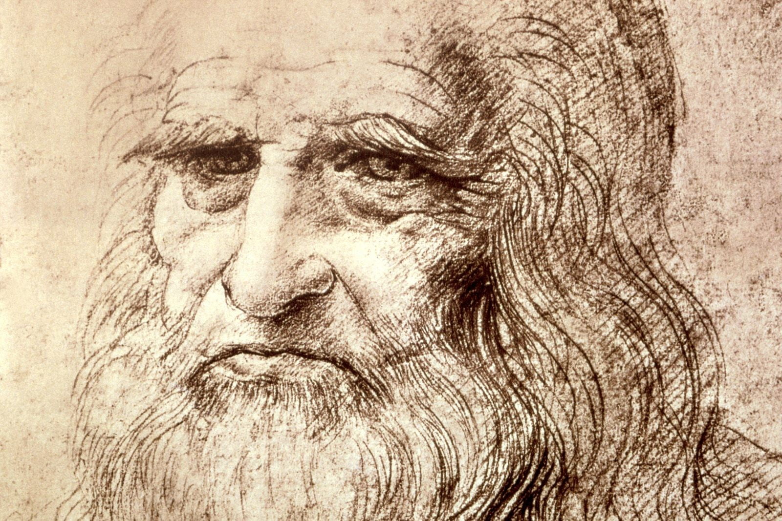 1600x1067 Man portrait sketch, Leonardo da Vinci HD wallpaper