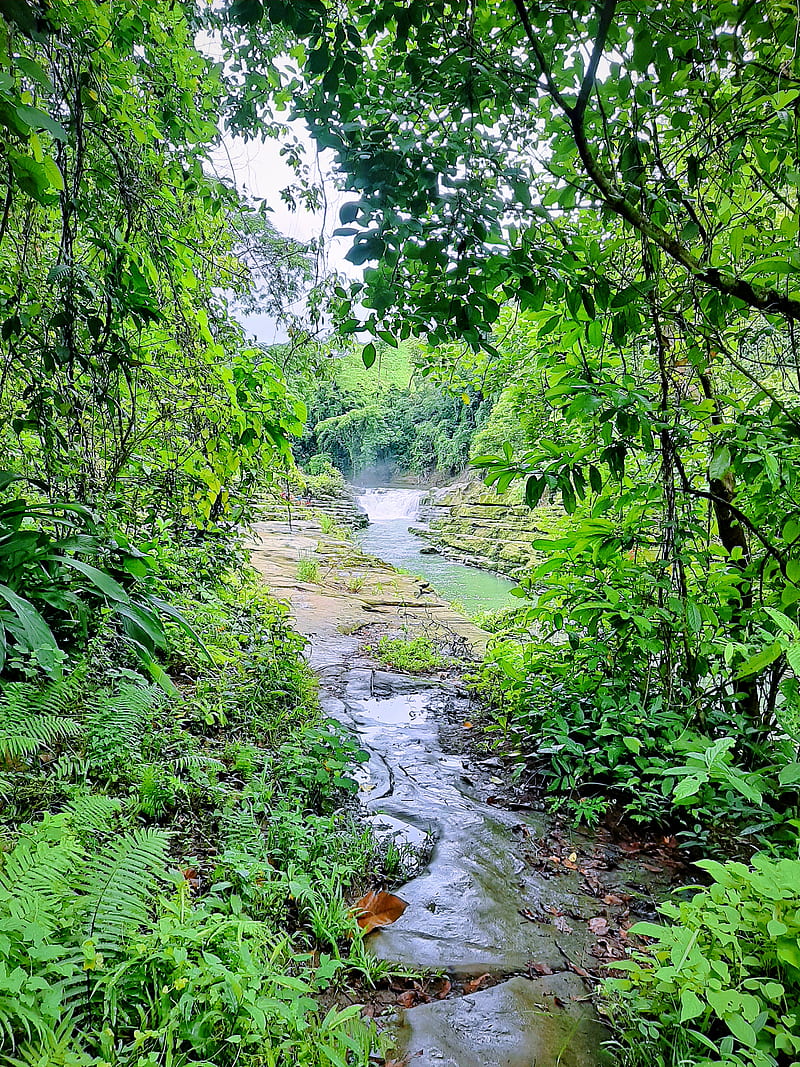800x1067 Green Road, bandarban, lakes, nafakhum, waterfall, HD phone wallpaper