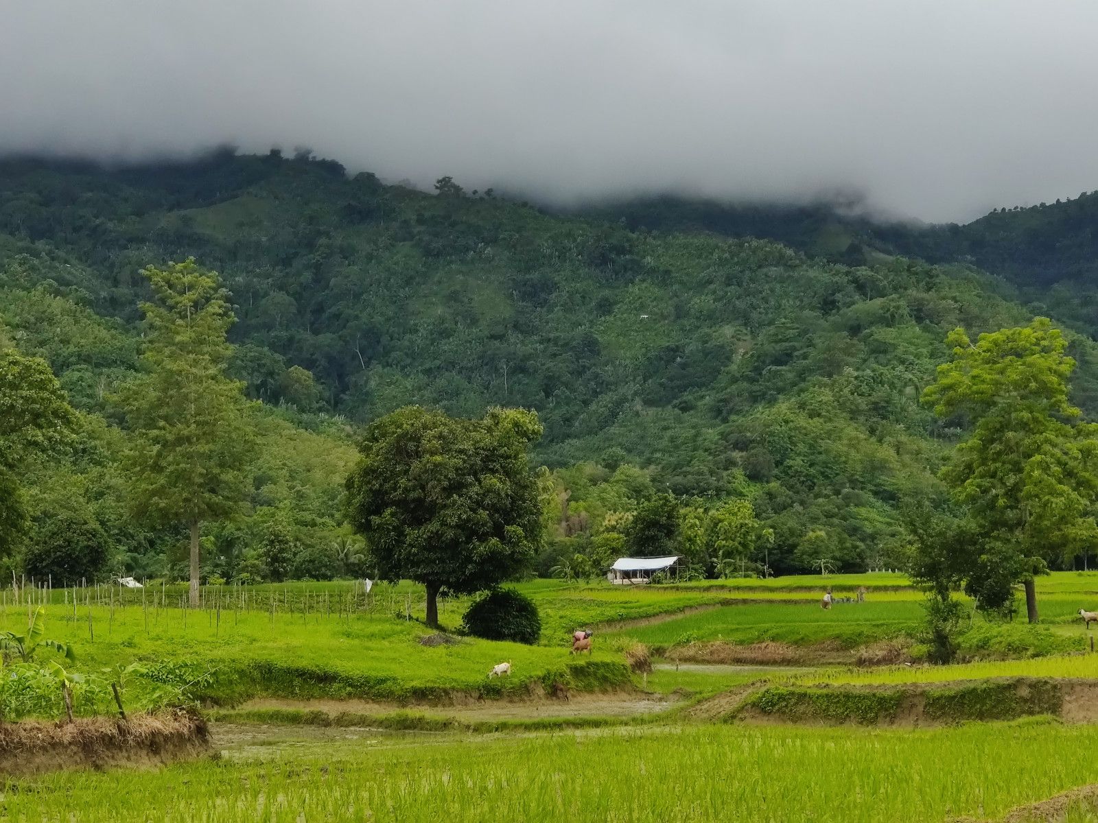 1600x1200 Into the hills: A journeyrt of Bandarban. The Business Standard