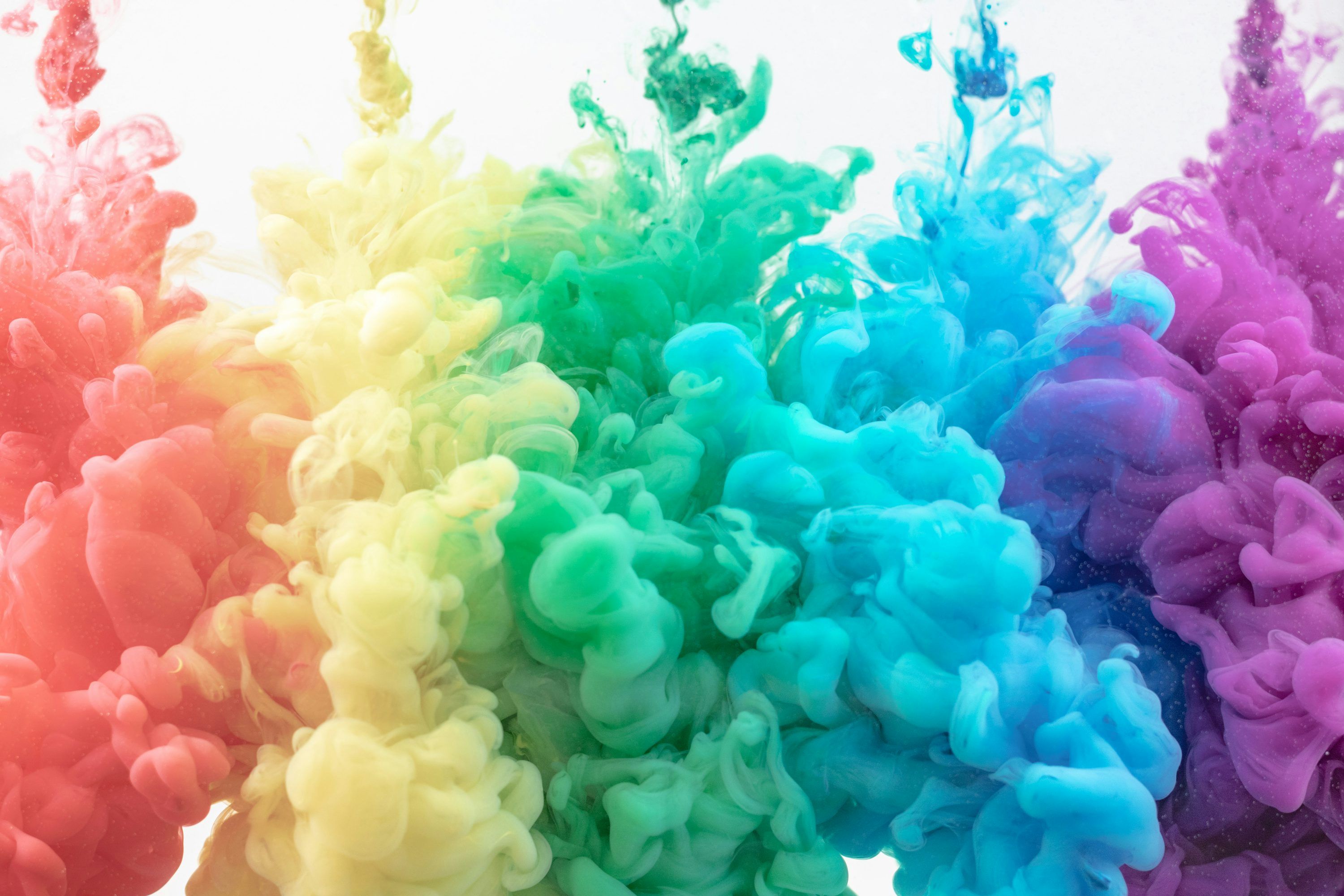 3000x2000 Vivid Color Picture. Download Free Image