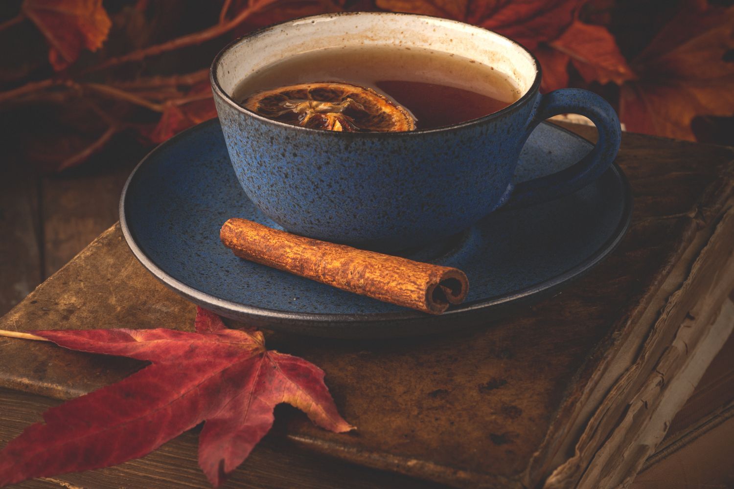 1500x1000 Autumnal Cinnamon Photo, Download The BEST Free Autumnal Cinnamon & HD Image