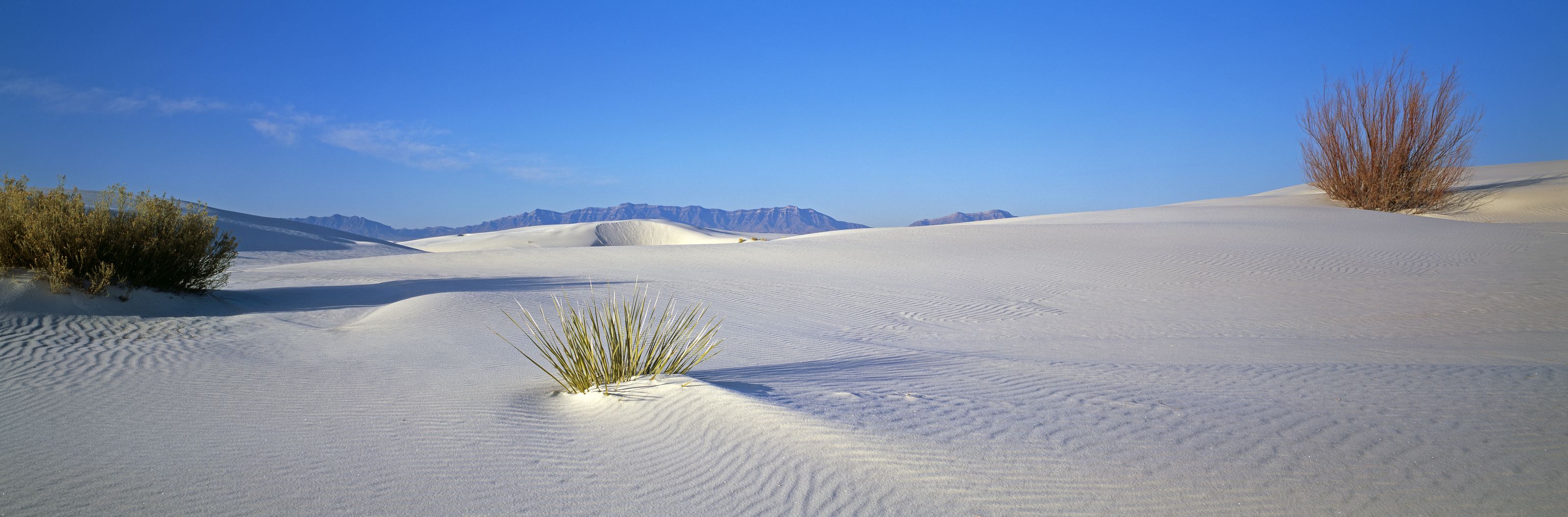 3200x1056 White Sands, NM Wall Mural